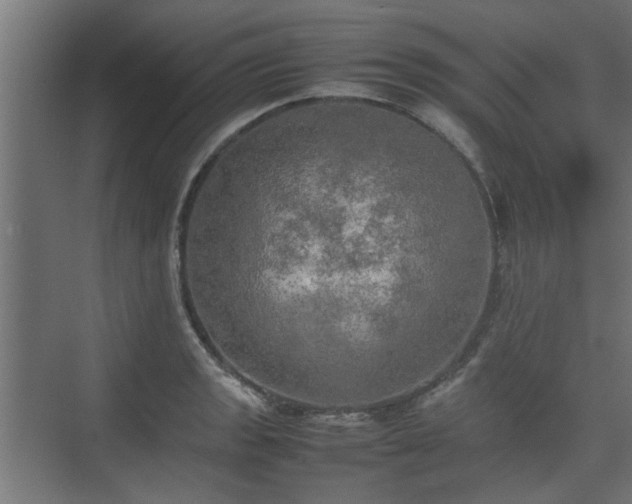 X0000074971133200609081404