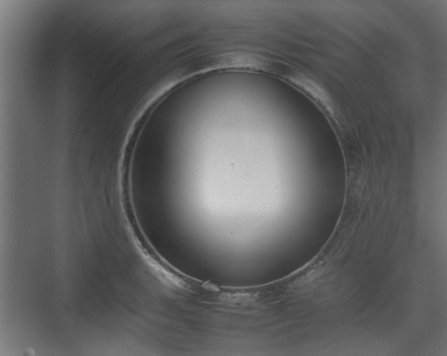 X0000074971135200609081404