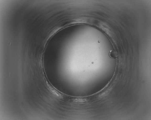 X0000074971137200609081404