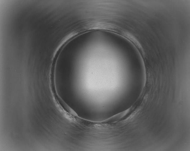 X0000074971138200609081404