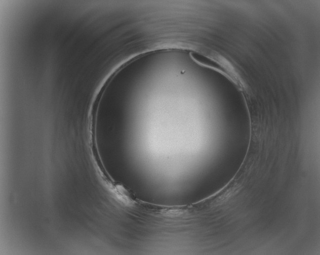 X0000074971140200609081404