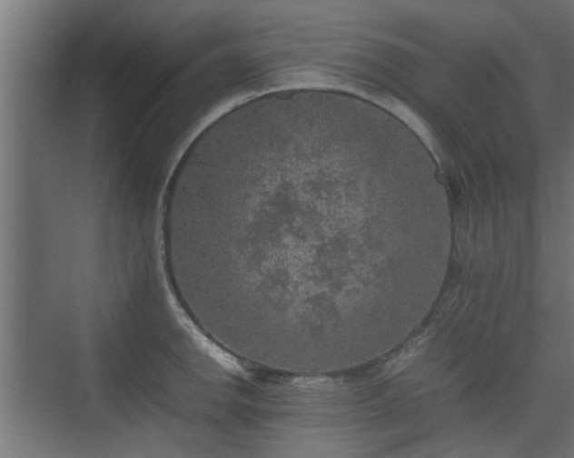 X0000074971142200609081405