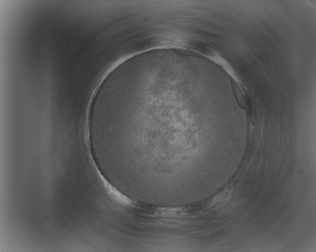 X0000074971143200609081405