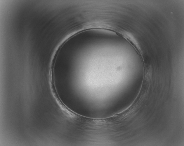 X0000074971144200609081405