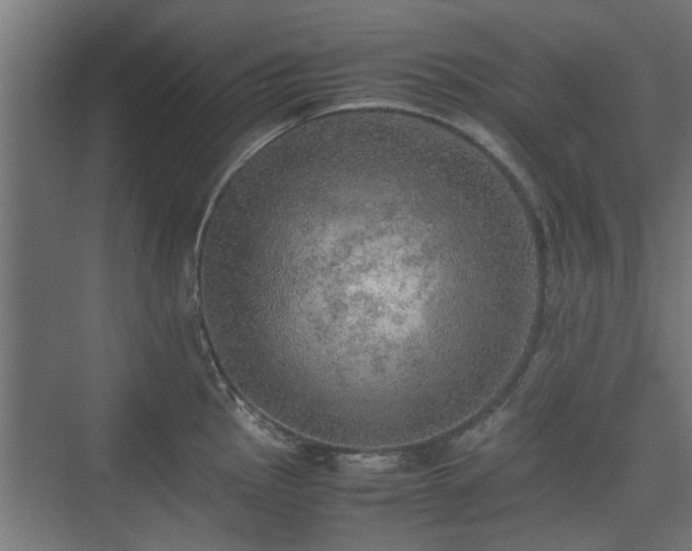 X0000074971145200609081405