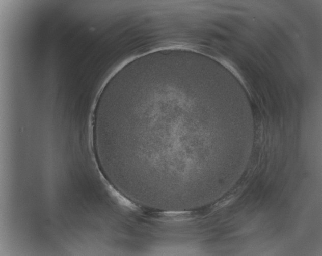 X0000074971151200609081405