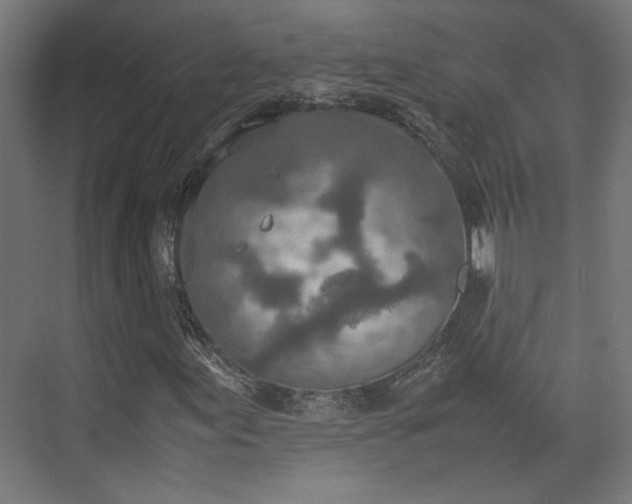 X0000074971155200609081404