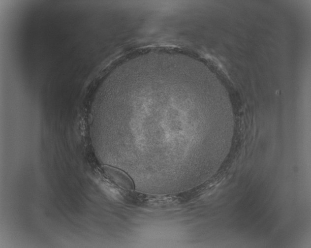 X0000074971159200609081404