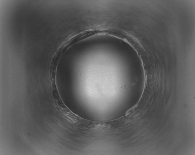 X0000074971160200609081404