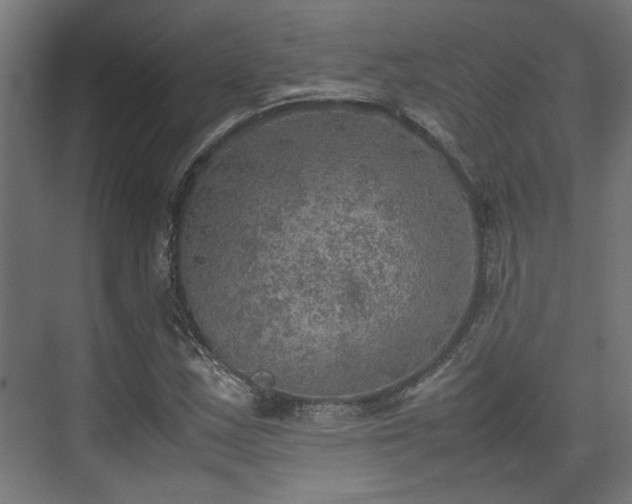 X0000074971163200609081404