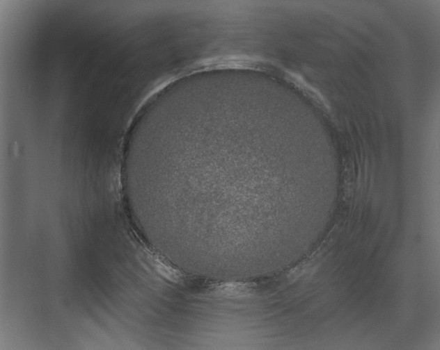 X0000074971166200609081404