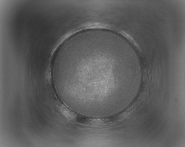 X0000074971167200609081404