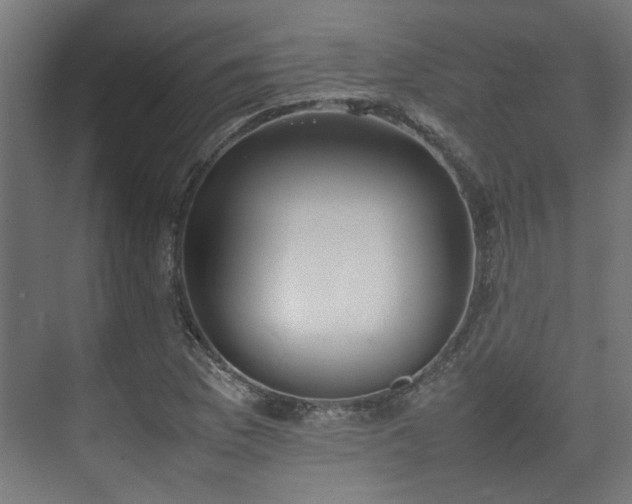 X0000074971169200609081404