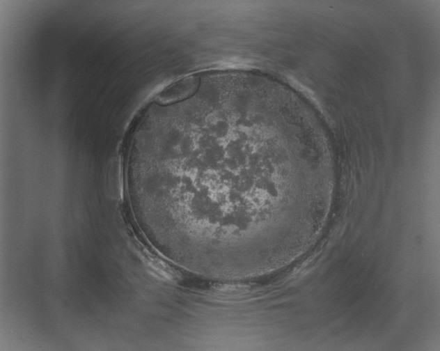 X0000074971171200609081404