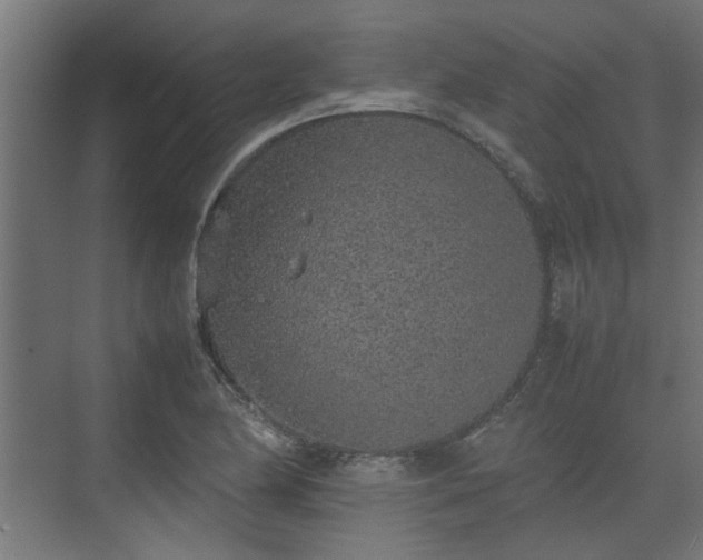 X0000074971174200609081404