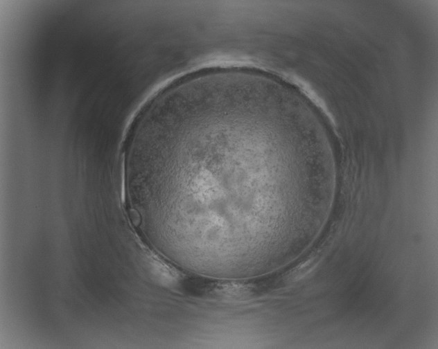 X0000074971175200609081404