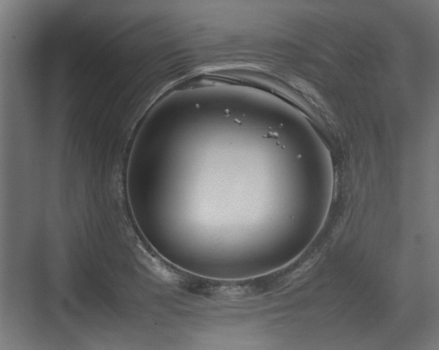 X0000074971177200609081403