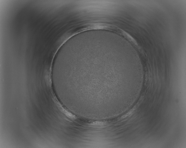 X0000074971178200609081403