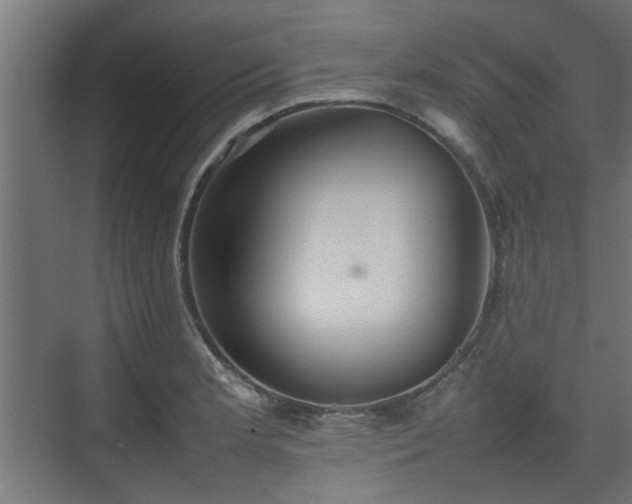 X0000074971181200609081403