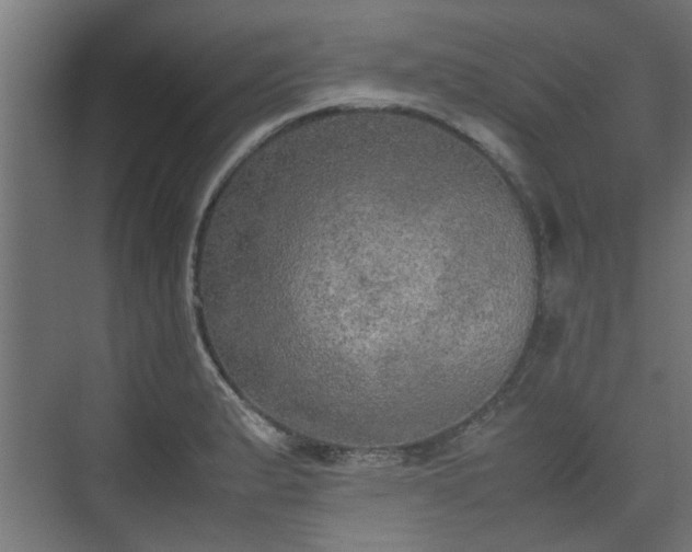 X0000074971183200609081403