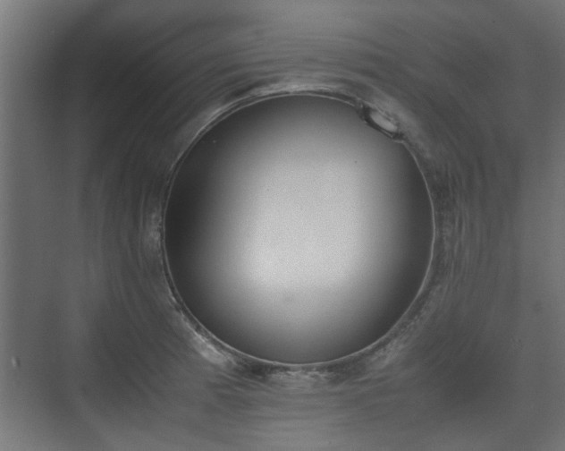 X0000074971185200609081403