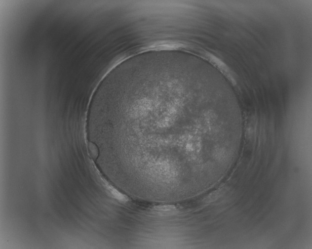 X0000074971186200609081403