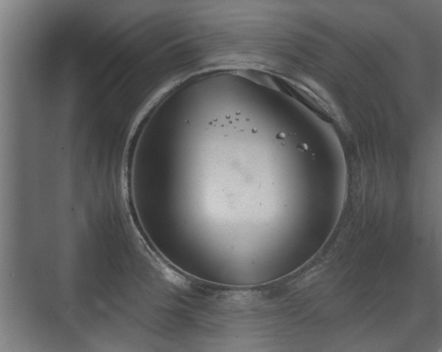 X0000074971188200609081403