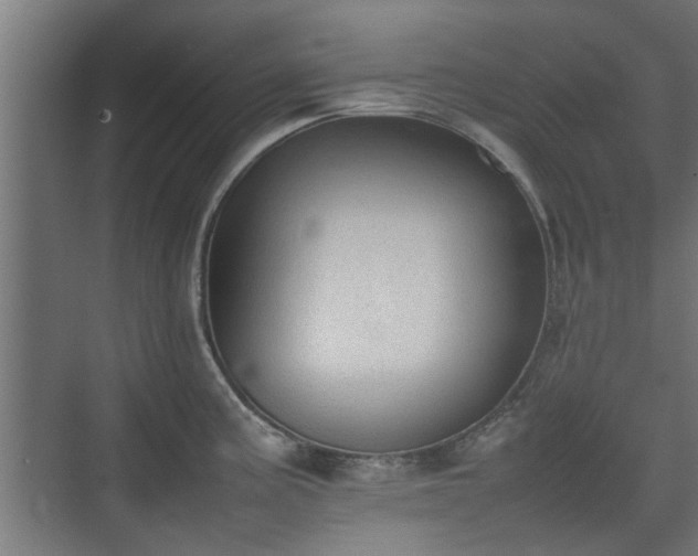 X0000074971195200609081403