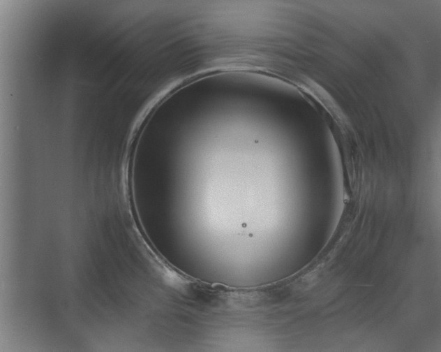 X0000074971196200609081403