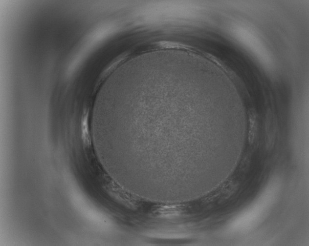 X0000074971198200609081403