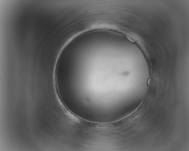 X0000074971199200609081403