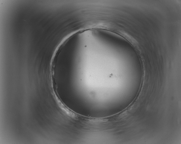 X0000074971200200609081403