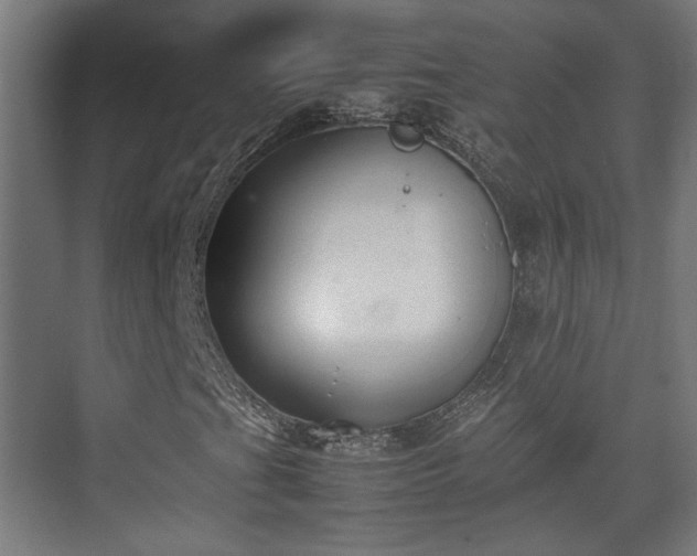 X0000074971201200609081402