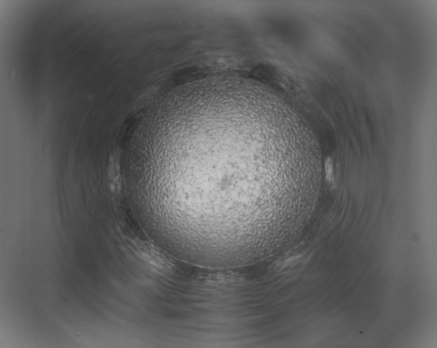 X0000074971203200609081402