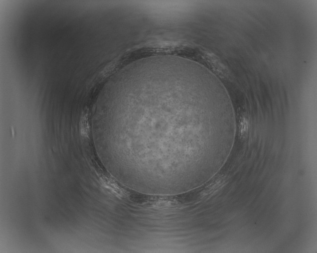 X0000074971204200609081402