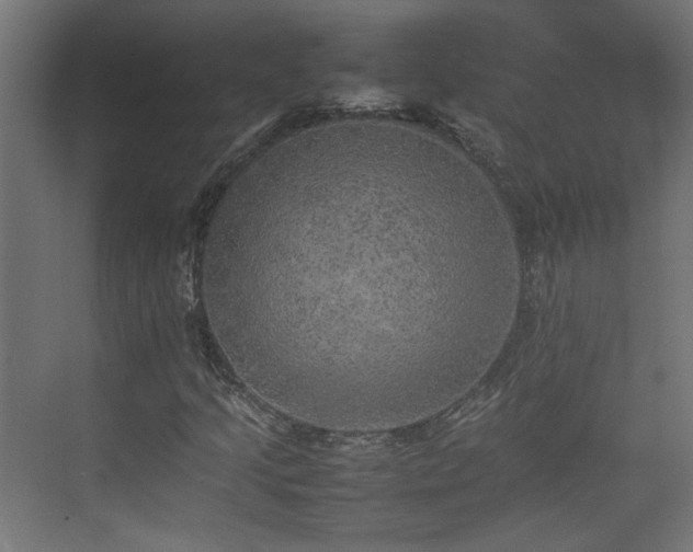 X0000074971205200609081402