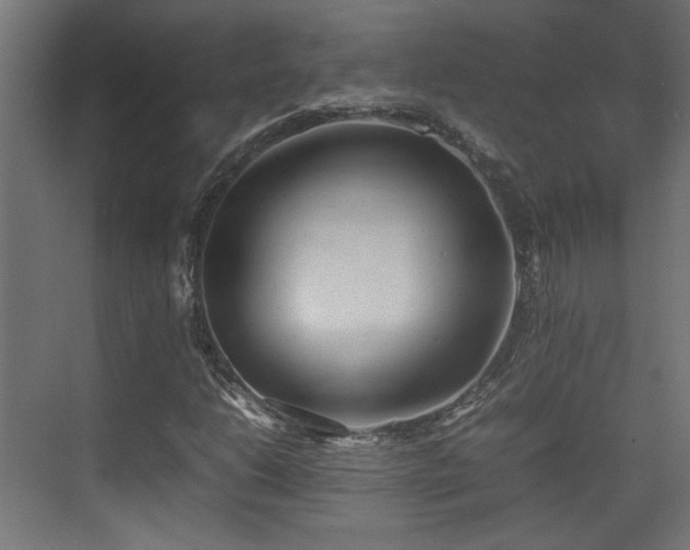 X0000074971206200609081402