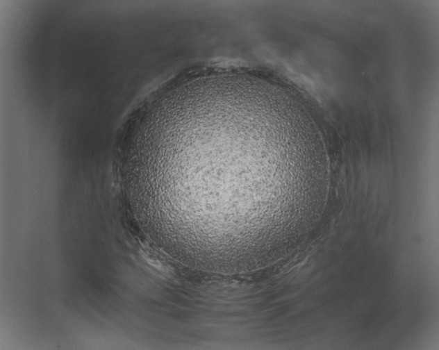 X0000074971207200609081402