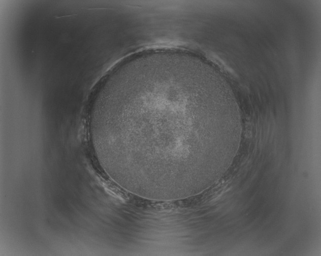 X0000074971208200609081402