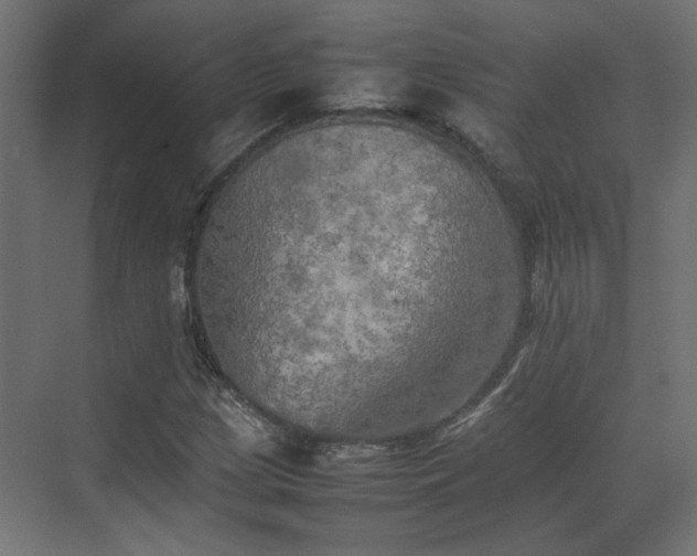 X0000074971209200609081402