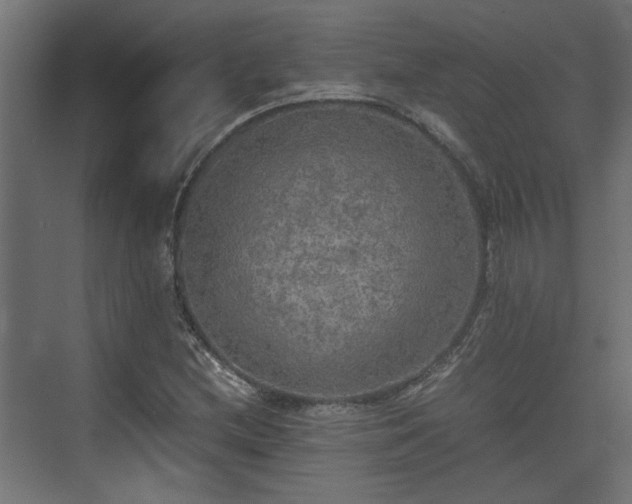 X0000074971212200609081402