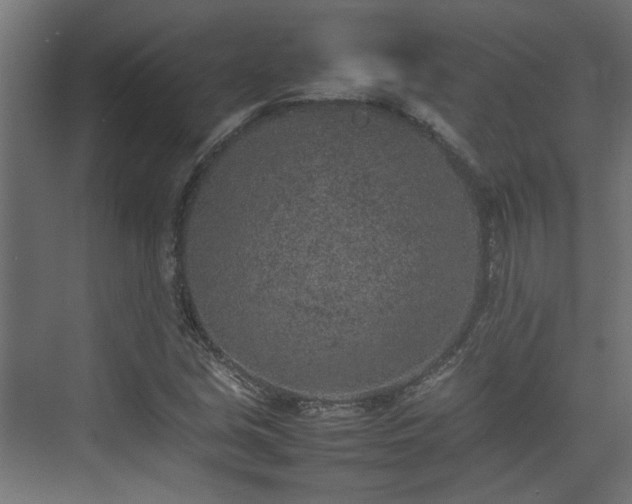 X0000074971213200609081402