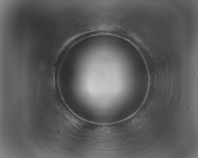 X0000074971214200609081403