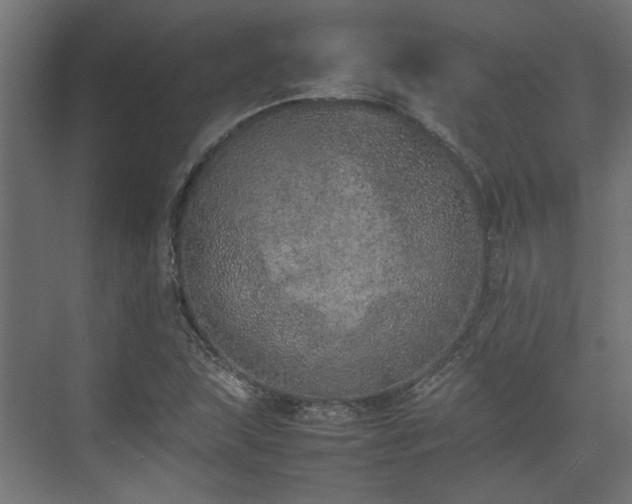 X0000074971215200609081403