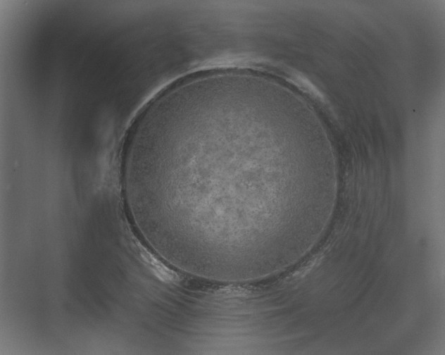 X0000074971216200609081403