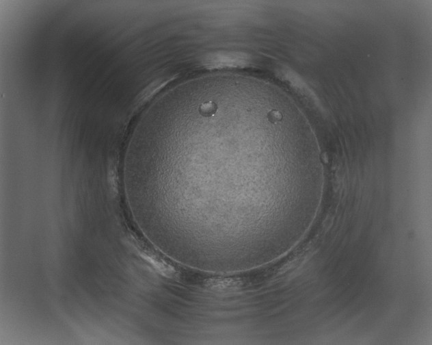 X0000074971217200609081403