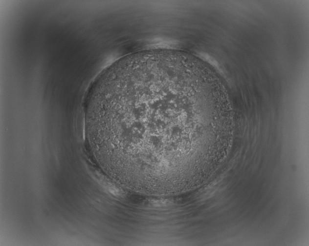 X0000074971219200609081403