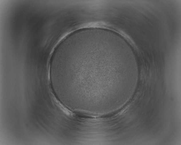 X0000074971224200609081403