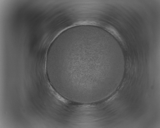 X0000074971228200609081403