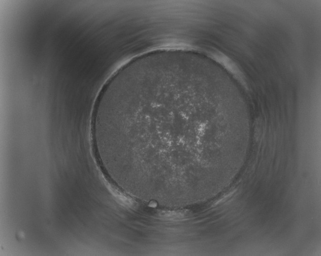 X0000074971229200609081403